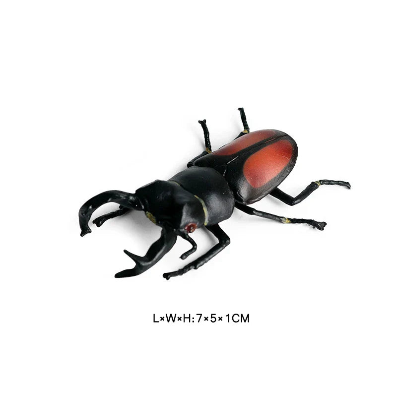 Simulated Wild Animal Insects Figurine - Educational Toy-7