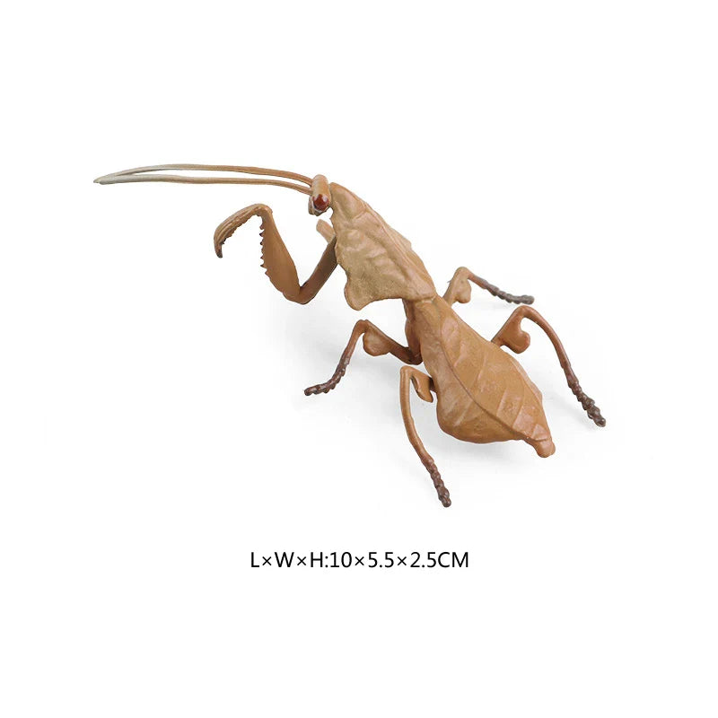 Simulated Wild Animal Insects Figurine - Educational Toy-14