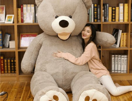 Teddy Bear Plush Toy-1