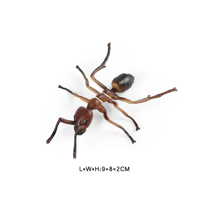 Simulated Wild Animal Insects Figurine - Educational Toy-42