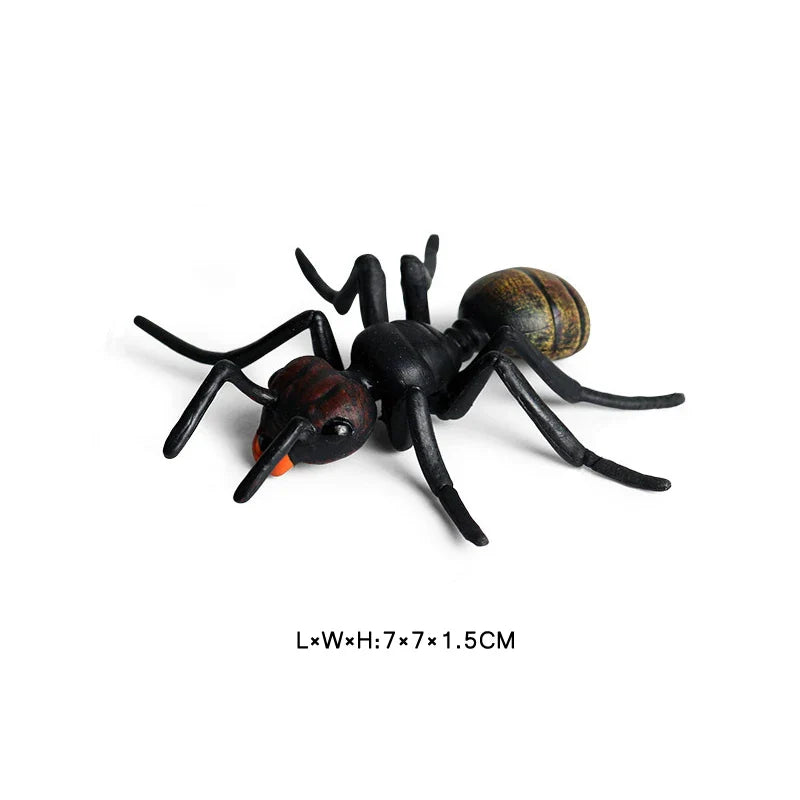 Simulated Wild Animal Insects Figurine - Educational Toy-43