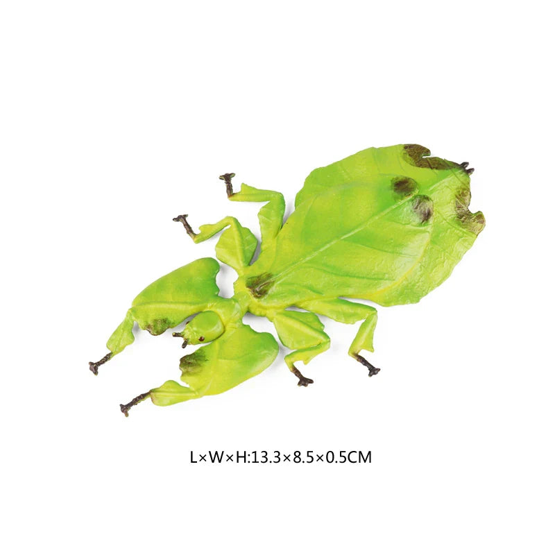 Simulated Wild Animal Insects Figurine - Educational Toy-9
