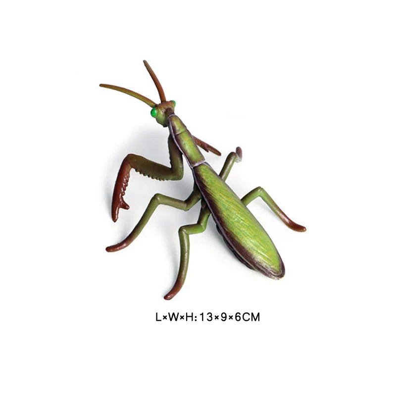 Simulated Wild Animal Insects Figurine - Educational Toy-16